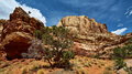 Capitol-Reef_IMG_9368_resize