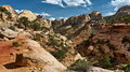 Capitol-Reef_IMG_9429_resize