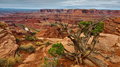 Death-Horse-Point_IMG_8750_resize