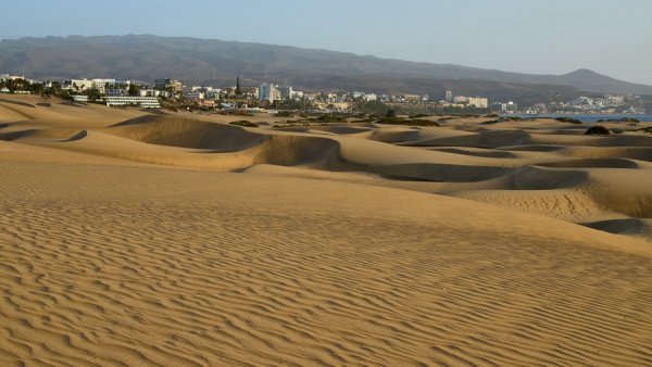 372_IMG_1996s