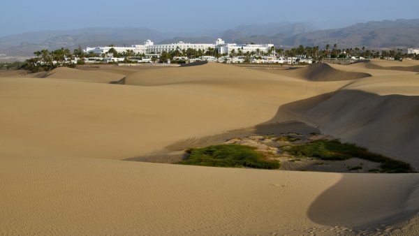 394_IMG_2056s